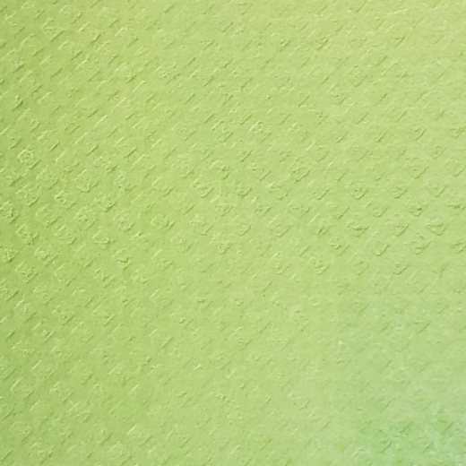 Sponge cloth dry 180x200mm 1x piece -apple green-
